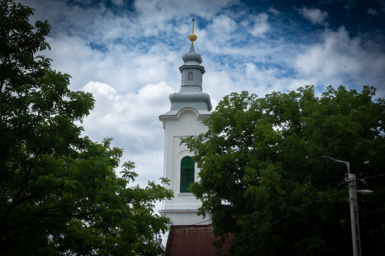 DSC_7087