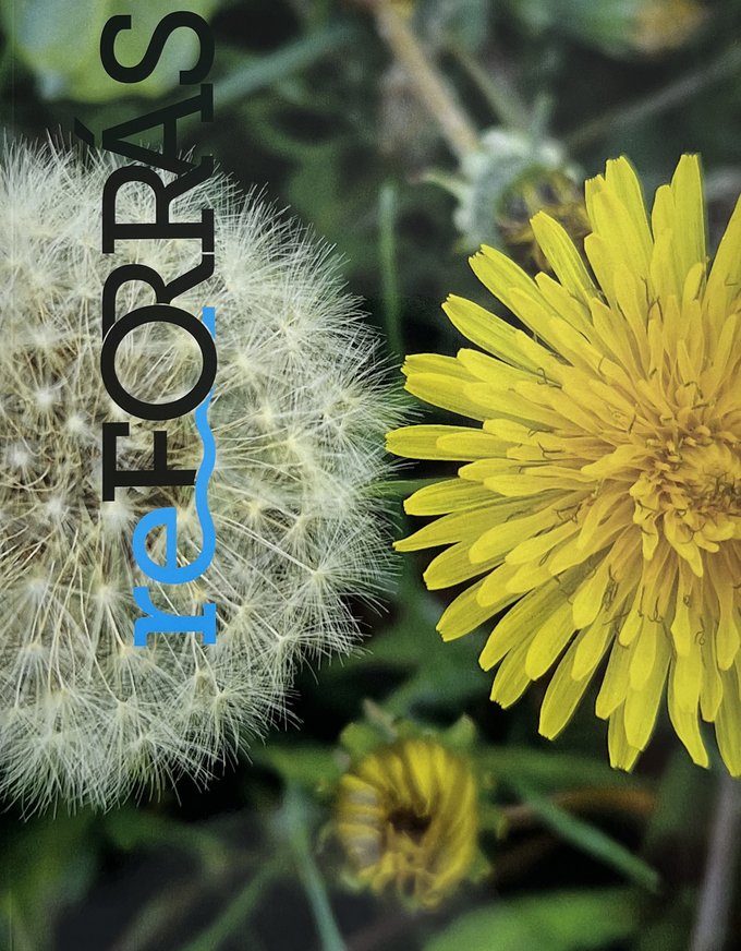 Cikk borítóképe
